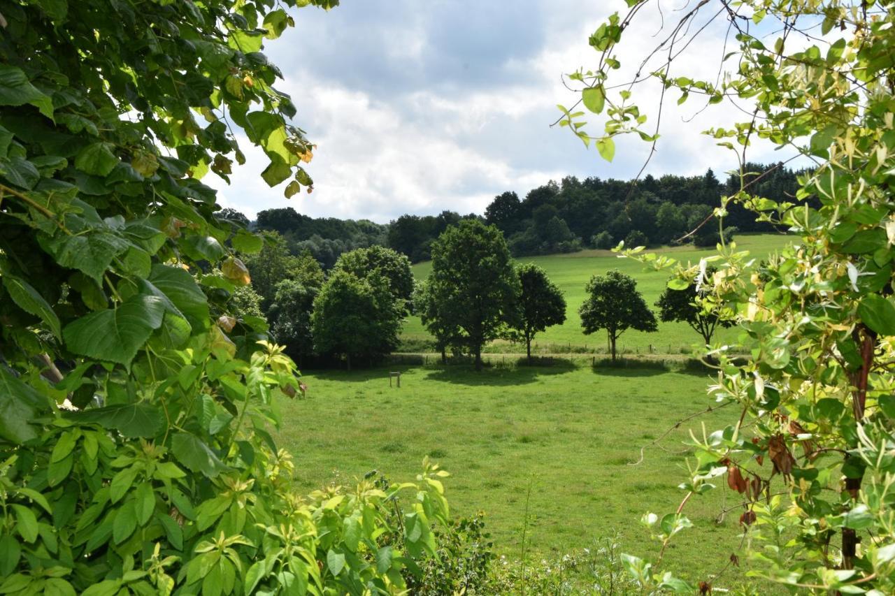 Vila Lampenhaeuschen Dhronecken Exteriér fotografie